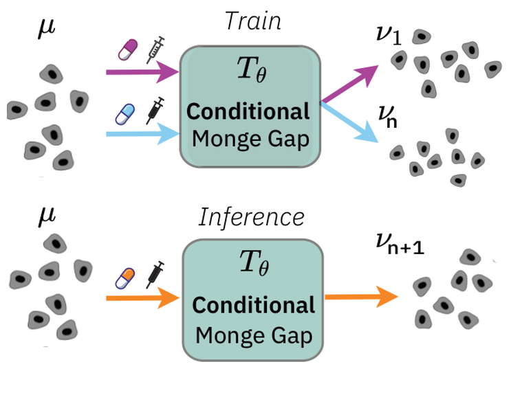 Conditional Monge Gap schematic